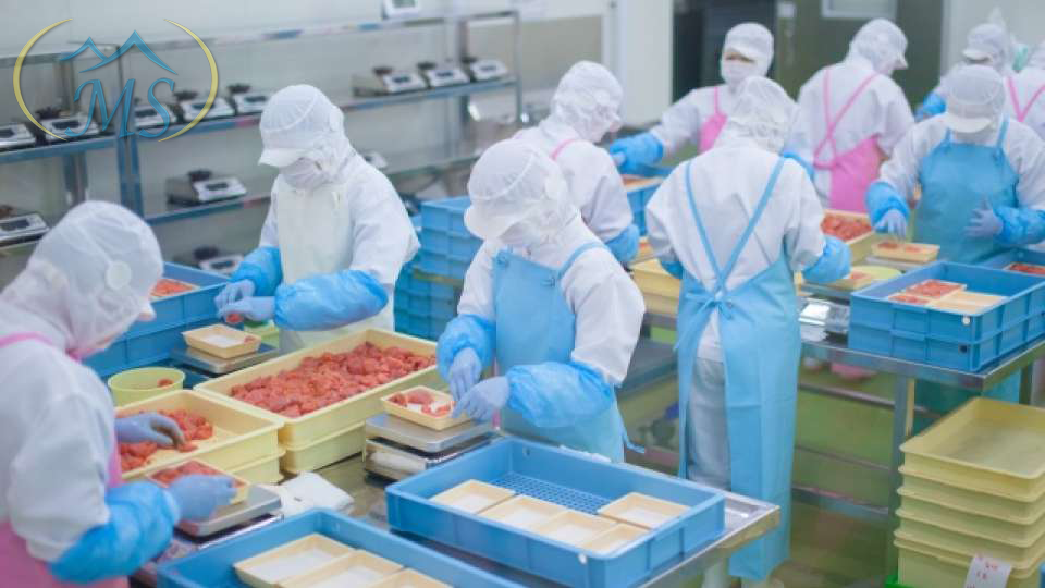 Hình mình hoạ việc làm chế biến thuỷ sản - 10 ngành nghề xuất khẩu lao động nhật bản lương cao 2023