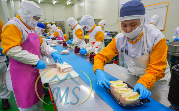 Hình mình hoạ việc làm chế biến thực phẩm - 10 ngành nghề xuất khẩu lao động nhật bản lương cao 2023