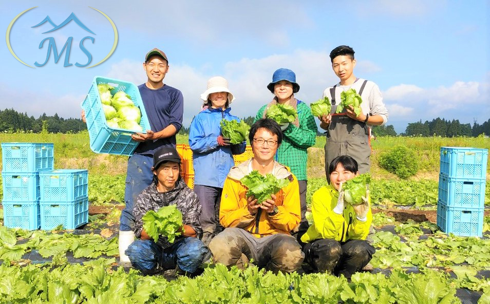 Hình mình hoạ việc làm nông nghiệp - 10 ngành nghề xuất khẩu lao động nhật bản lương cao 2023